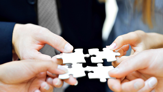 Alis Global consultancy team at work